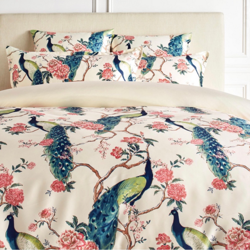 Z Gallerie duvet cover and 2 matching Euro Shams